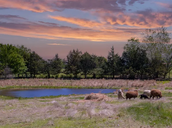 225 Shadow Valley Rd, Whitesboro, TX 76273