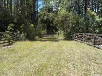 47.43 Acres #Cr-345, Chiefland, FL, 32626