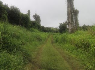 89-1190 Hawaii Belt Rd LOT 4, Captain Cook, HI 96704