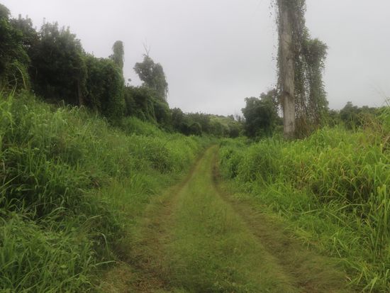 89-1190 Hawaii Belt Rd Lot 4, Captain Cook, HI 96704