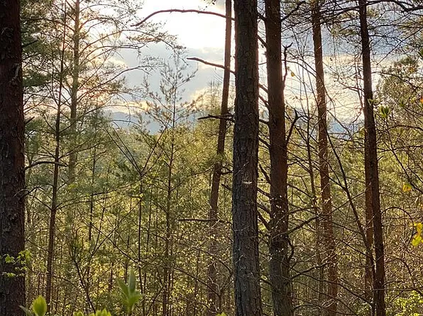 68 Highway 68, Turtletown, TN 37391