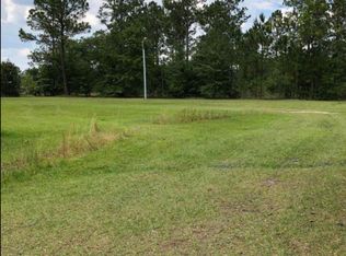 11559 SE 58th Pl, Hampton, FL 32044