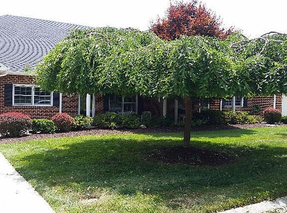 4th image of 1145 Doulton Cir