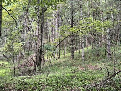 Fishers Dr, Mouth Of Wilson, VA, 24363