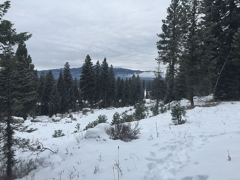 Level area looking north