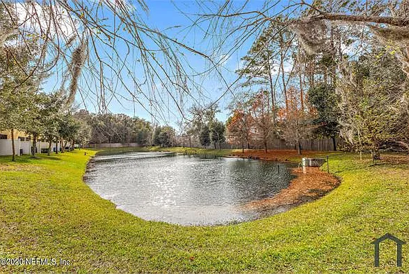 12334 Water Tupelo Rd — Photo 25