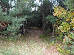 Cotton Hill Rd, Middleburgh, NY 12122