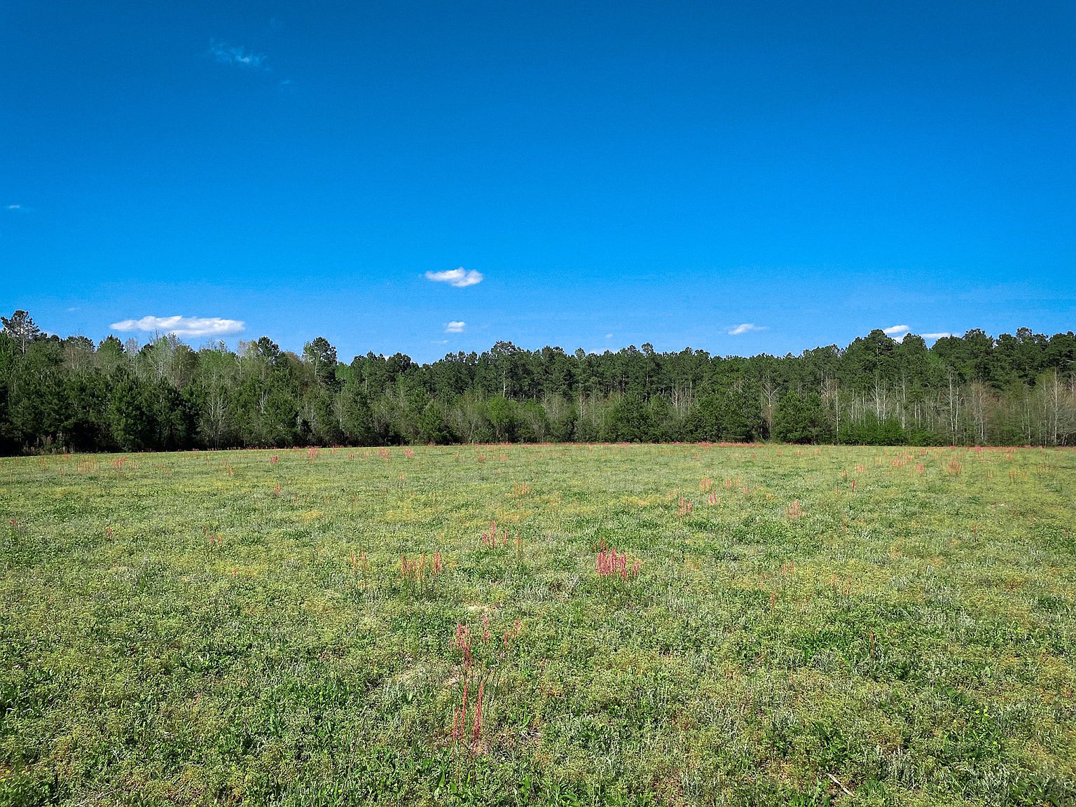 Cash Rd LOT WP002, Johnsonville, SC 29555 Zillow