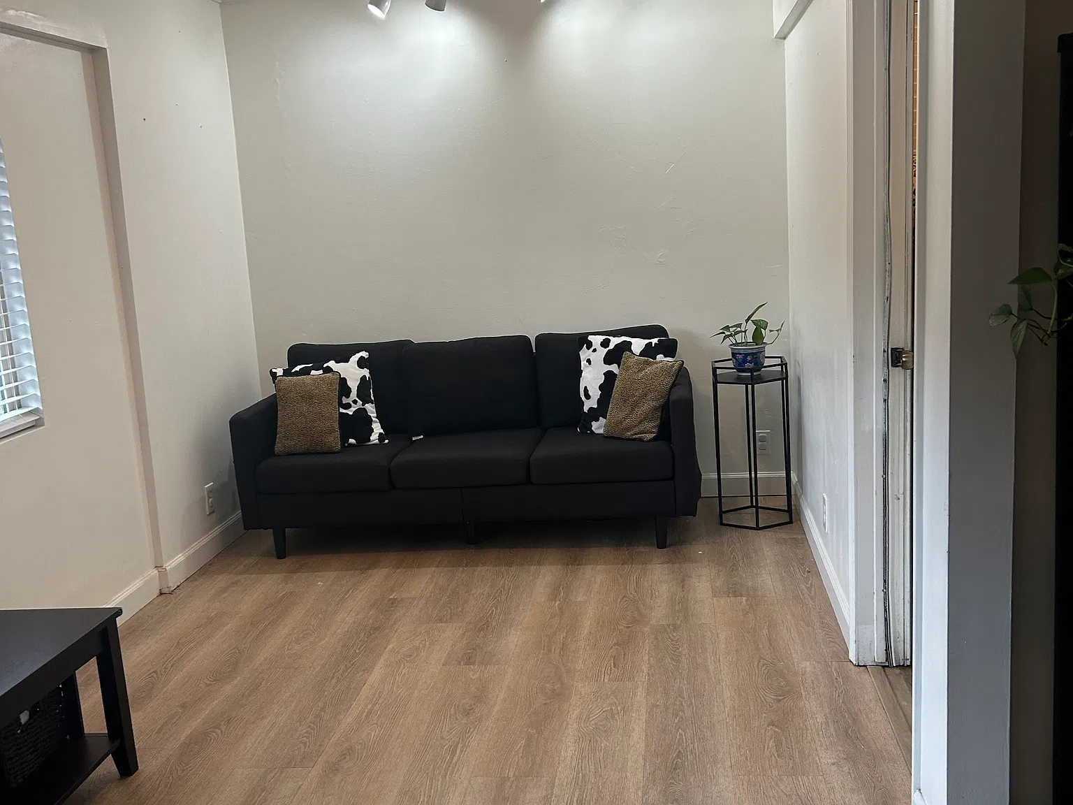2 bed, 800 sqft, $3,700 — Photo 4