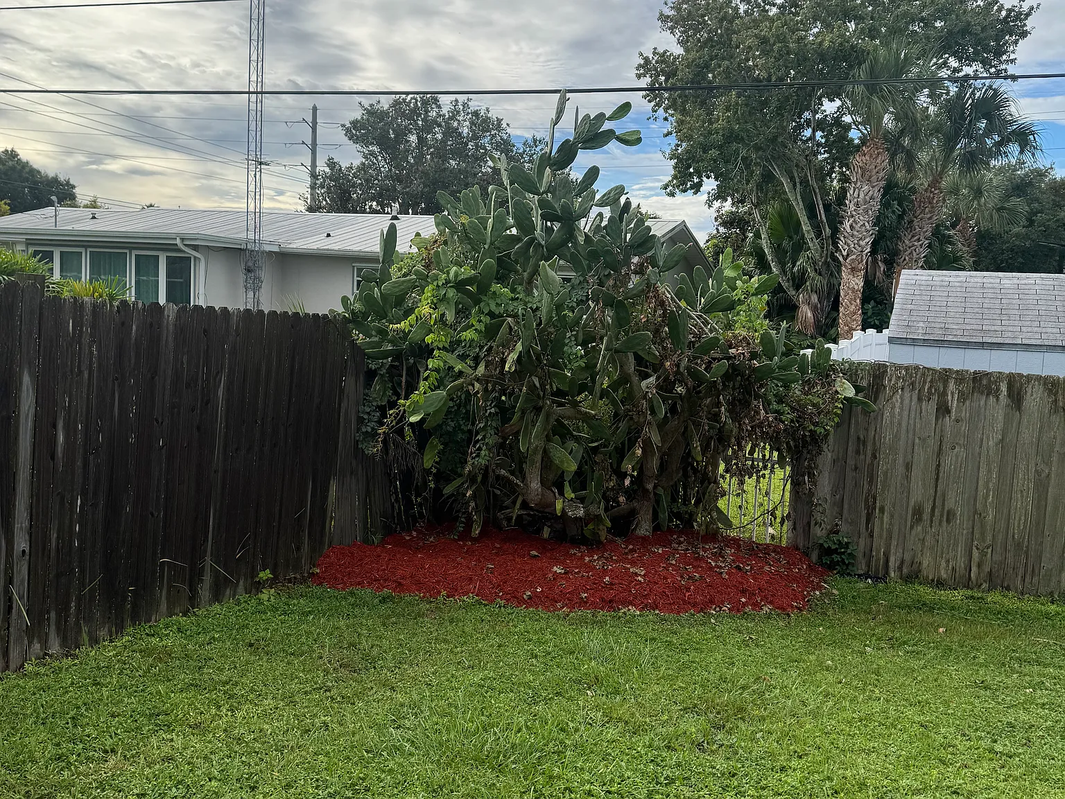 2 bed, 1000 sqft, $1,450 — Photo 4