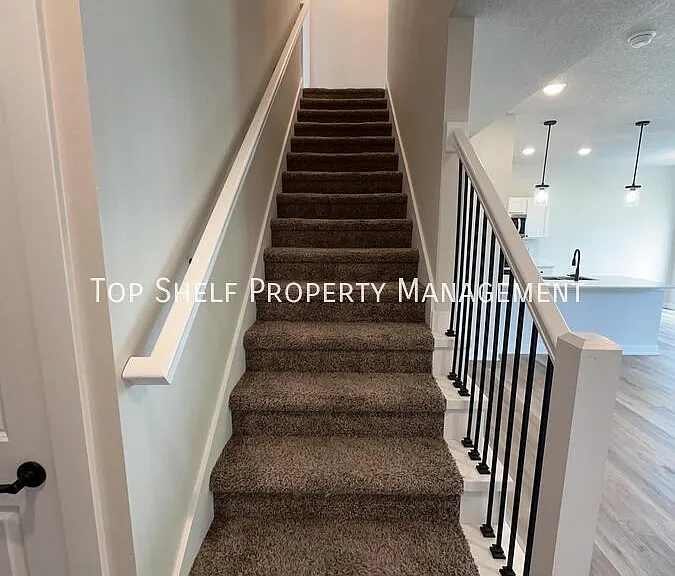 232 Bristlecone Dr — Photo 14