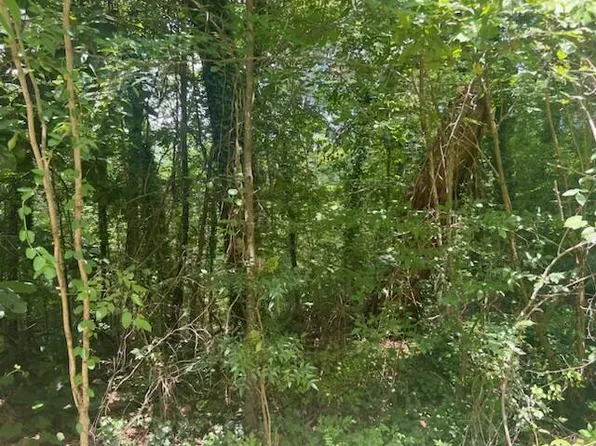 College Hill Rd, Jasper, AL 35501