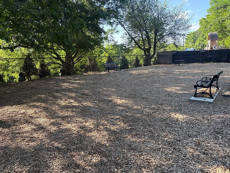 New dog park across the street