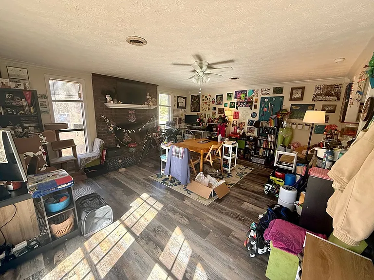 115 Knob Lick Dr — Photo 8