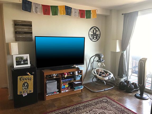 Flat Screen TV Conveys