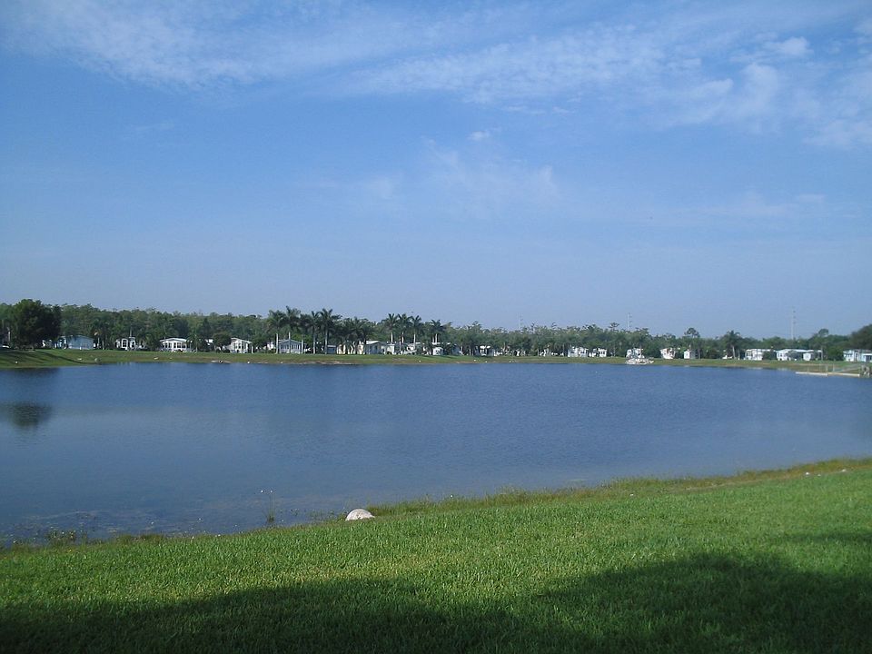 view from patio