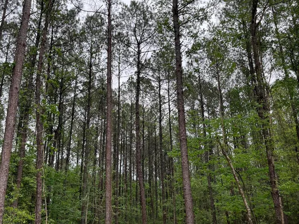 Us Highway 49, Brooklyn, MS 39425