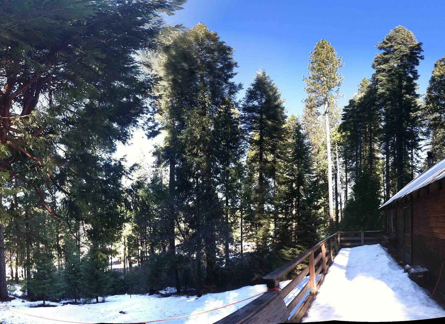 1314 Shady Cir photo 1