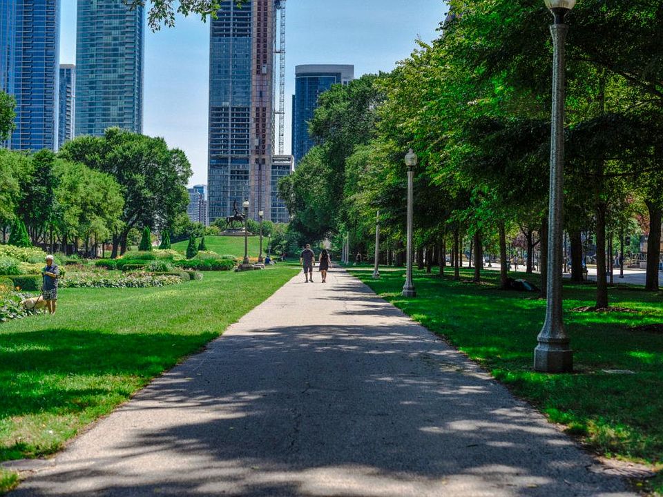 South Loop Neighborhood