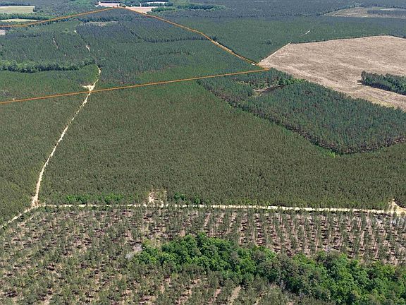 4th image of Laurel Springs Rd