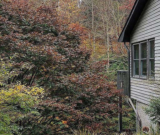 From Driveway view