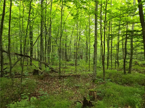 Lot 31 & 32 Woodcrest Drive, Cable, WI 54821