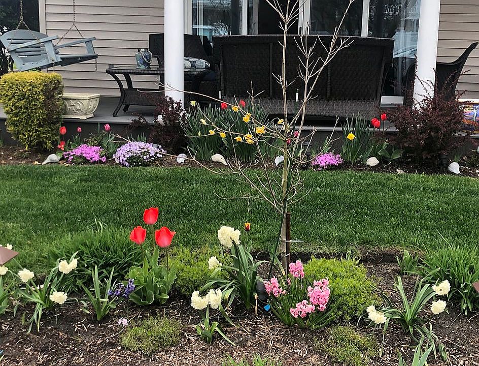 Front yard, porch