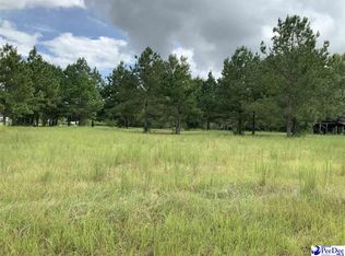 2969 Fluttie Ln, Timmonsville, SC 29161