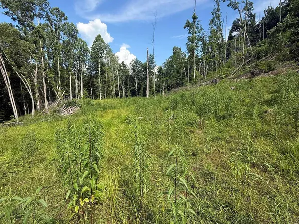 Knights Fork Rd, West Union, WV 26456
