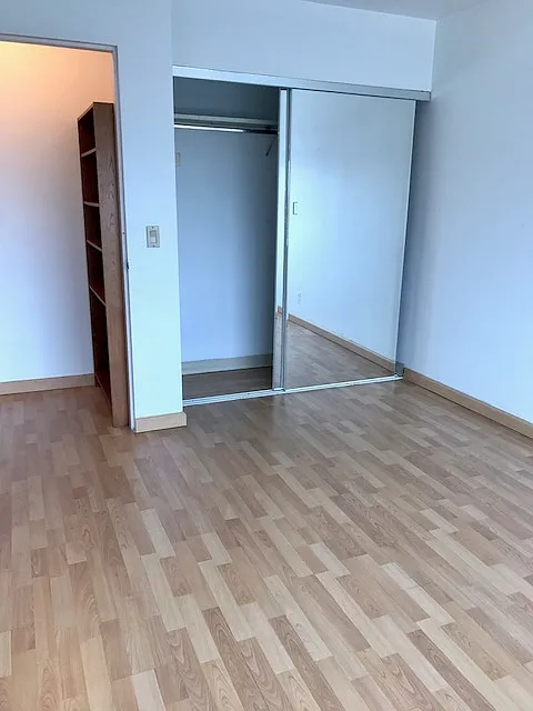 1 bed, 430 sqft, $1,700 — Photo 3