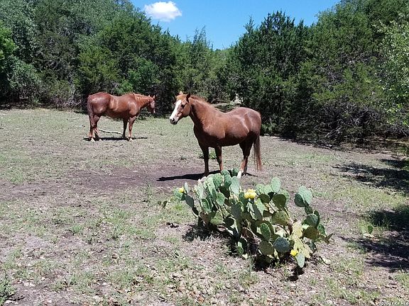 5th image of 552 (LOT 2002) Rock Trail LOT 2002