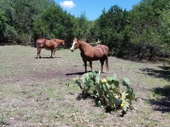 1035 (LOT 1777) Mystic Breeze LOT 1777, Spring Branch, TX 78070