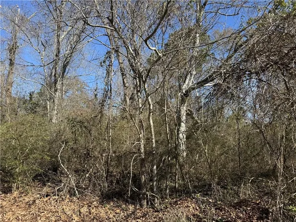 1251 Bayou Dr, Mandeville, LA 70448