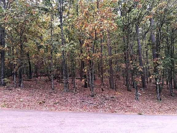 4th image of 0 Lake Ouachita Dr