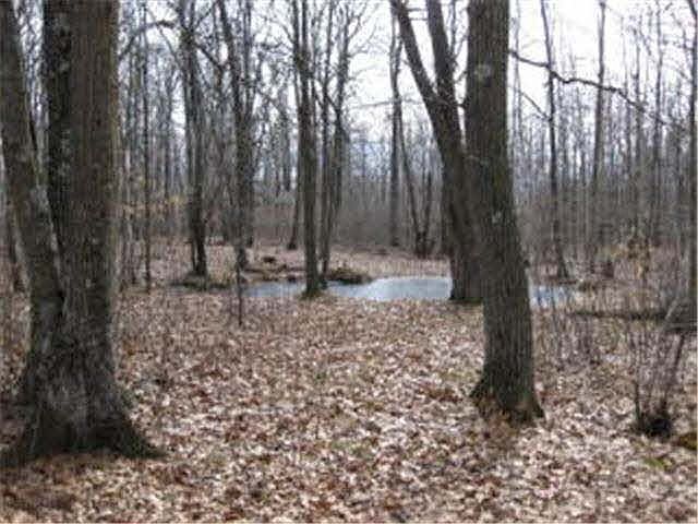 2nd image of 410TH ST