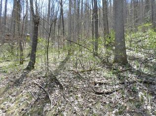 Dogwood Drive 16 LOT 16, Maggie Valley, NC 28751