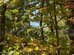 Old Mountain Rd, Sevierville, TN 37876