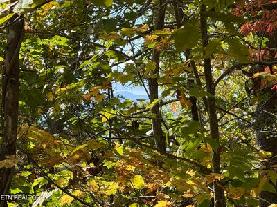Old Mountain Rd, Sevierville, TN, 37876