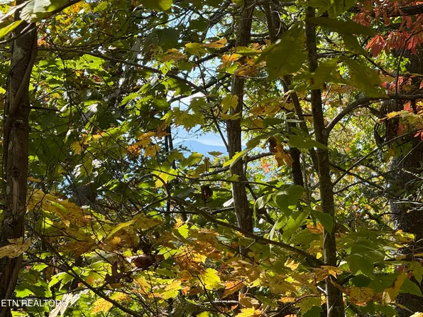 Old Mountain Rd, Sevierville, TN 37876