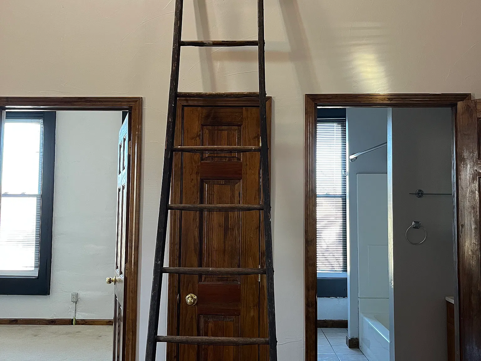 1 bed, $1,100 — Photo 4