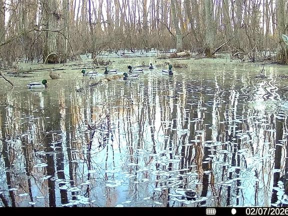 2nd image of 483 Phillips Rd #131