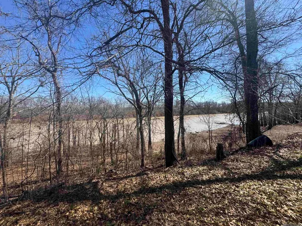 576 Elam Turner Rd, Clayton, LA 71326