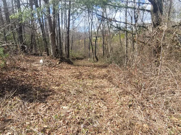 0 Brays Chapel Rd, Williamsburg, KY 40769