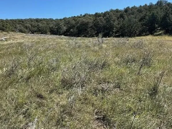 0 Edgewood Rd, Edgewood, NM 87015