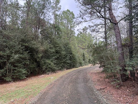 2nd image of 0 Black Squirrel Rd E