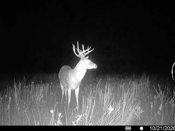 5th image of 0 Fm 2554
