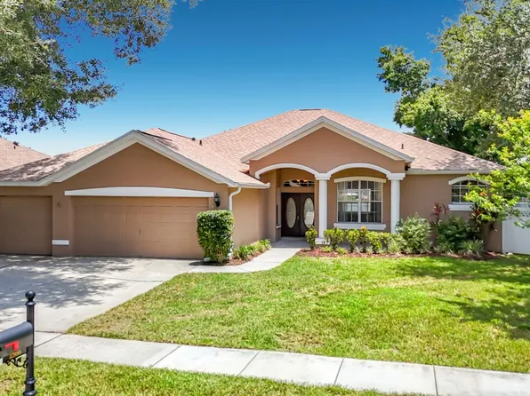 2866 Duncan Tree Cir, Valrico, FL 33594