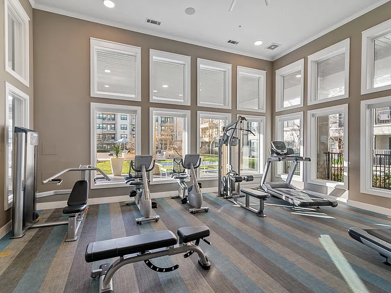 Solea Alamo Ranch 55+ Active Adult — Photo 9