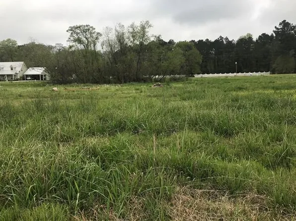 26313 Indian Run Dr, Springfield, LA 70462