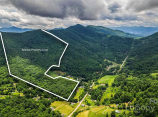 99999 Dark Cove Rd, Leicester, NC 28748